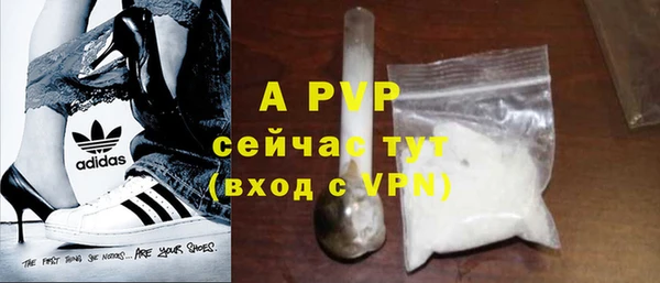 спиды Аша