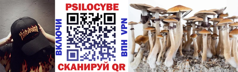 Купить где  Белозерск  Галлюциногенные грибы Psilocybe 